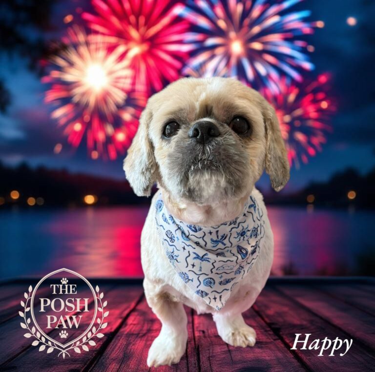 The Posh Paw Photo Gallery - Happy