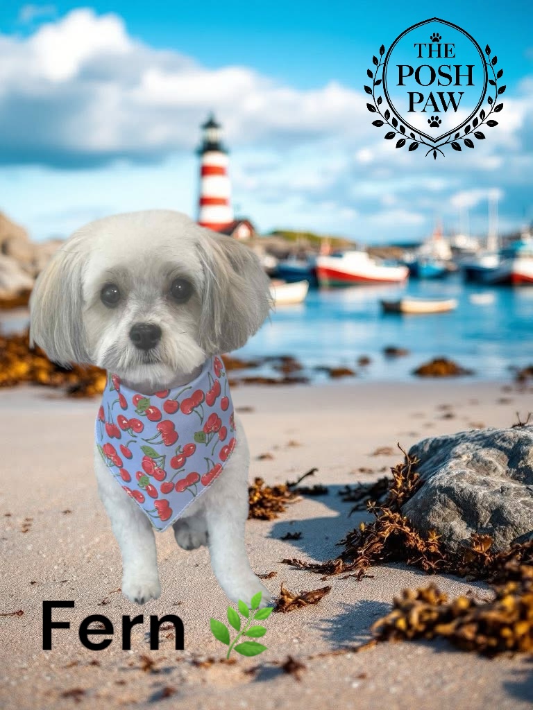 The Posh Paw - Fern
