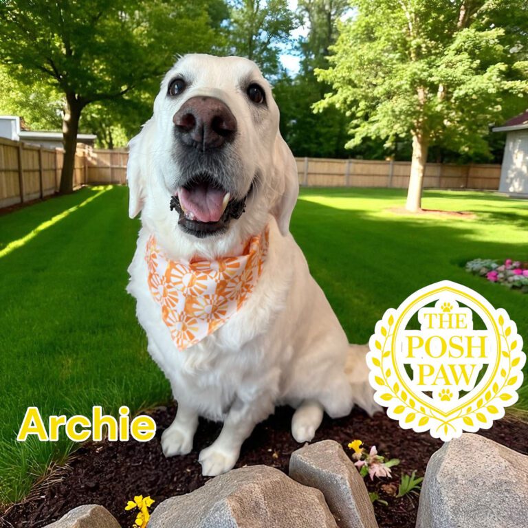 The Posh Paw - Archie