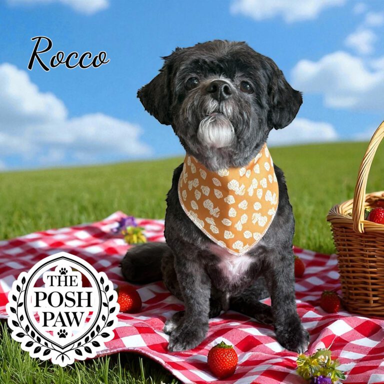 The Posh Paw - Rocco