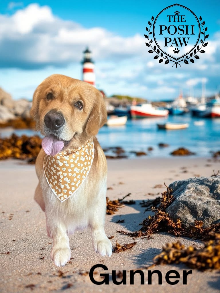 The Posh Paw - Gunner