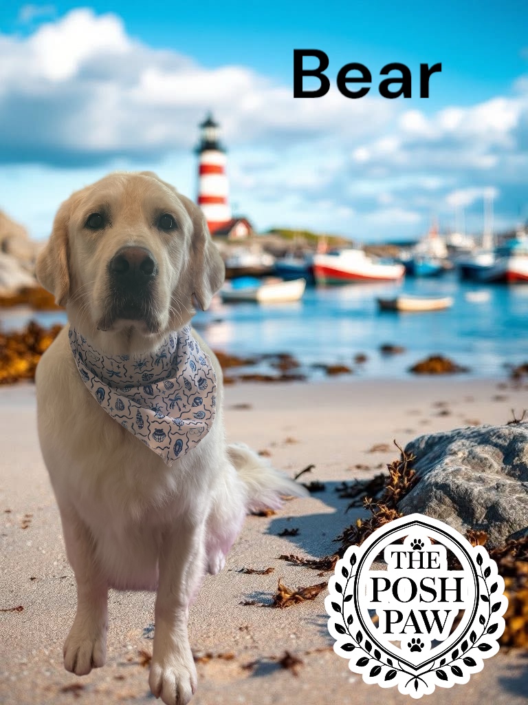 The Posh Paw - Bear