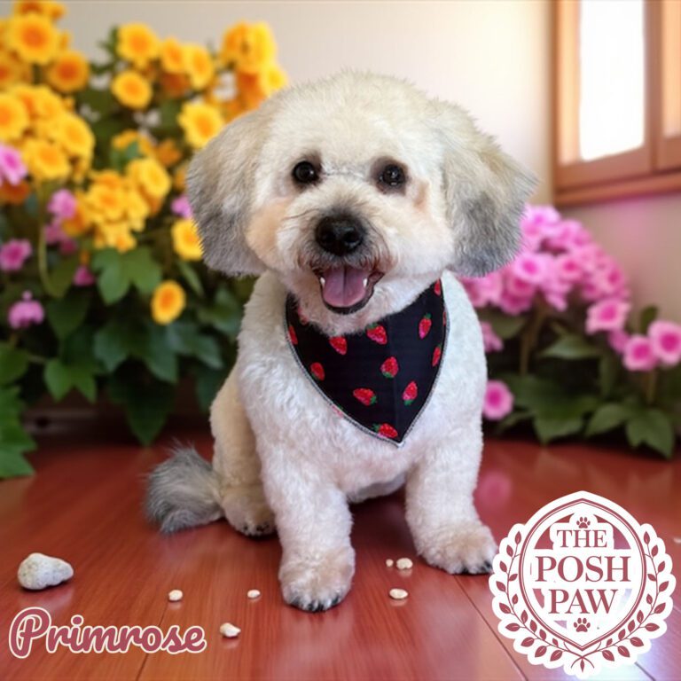 The Posh Paw - Primrose