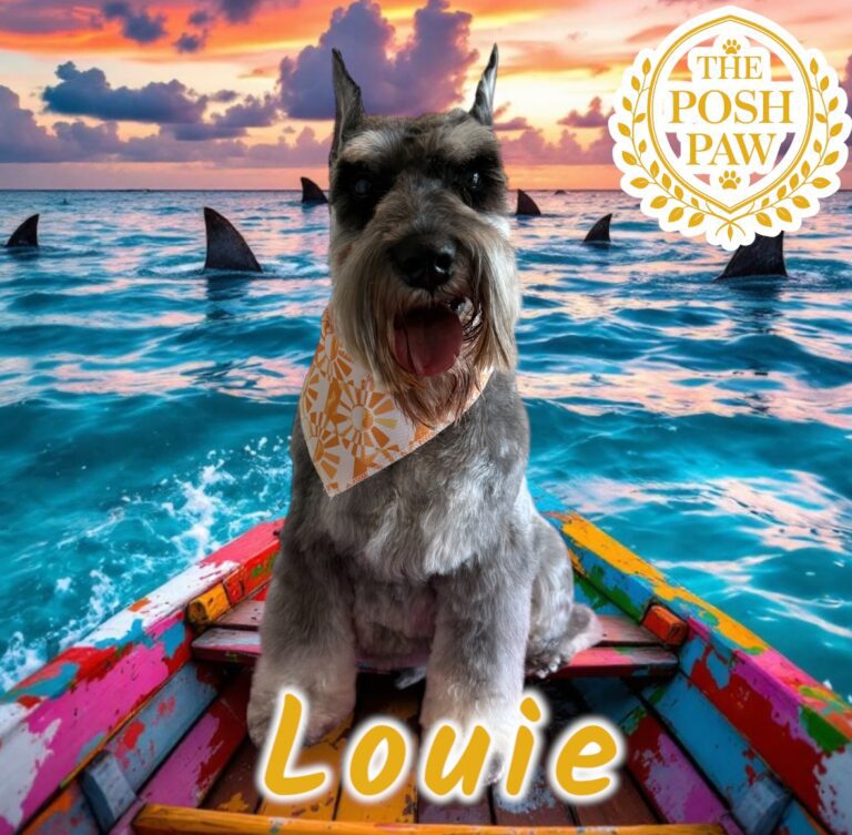 The Posh Paw - Louie